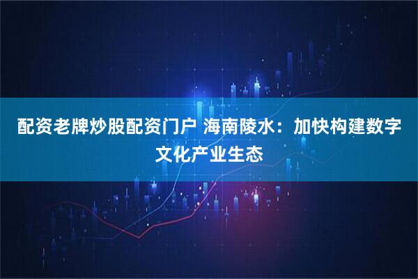 配资老牌炒股配资门户 海南陵水：加快构建数字文化产业生态